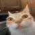 catErm