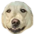 bbsmoothSMILE