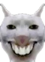XX