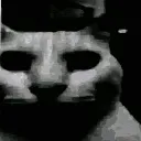 wtf