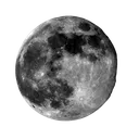 hzmarketlogo Discord Emoji