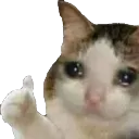Cat Thumbs Up cat_thumbs_up Discord Emoji