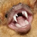 EEEEEEEE EEEEEEEE