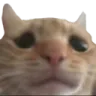 catsad Discord Emoji