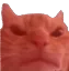 Catrage Discord Emoji