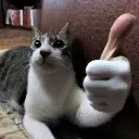 Cat Ok cat_ok Discord Emoji