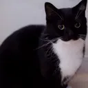 spki