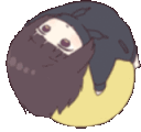 KurumiBall2