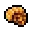 mollusk