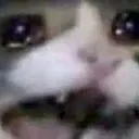 cry cry