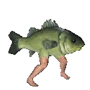 FishJump