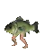 FishDance