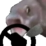 PogFishSteer