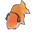 fishJam