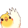 birdWave