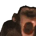 MONKE