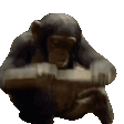 MONKE