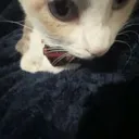 zoomedtsuki zoomedtsuki