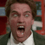 arnoldshutup