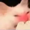 Blushi Blushi