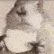 hamster