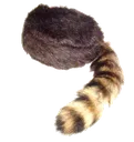 RacoonHat_FFA