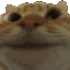 :ja: