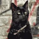 sn_1catbored