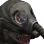 snork