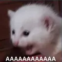 AAAAA AAAAA