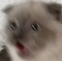 omg