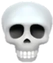 skull skull