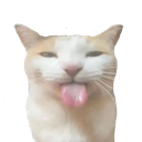 sillymillycat Discord emoji