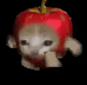 f_
