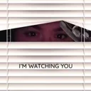 lizwatching
