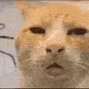 HUH