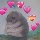 hammyhearts hammyhearts