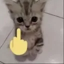 cat_fucku Discord Emoji