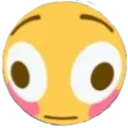 bigbrain