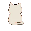br_catshy