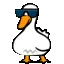 duck_dance