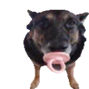 googergagger Discord emoji