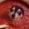 spag spag