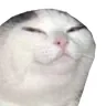 866755400493170688