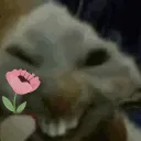 xdFlower