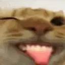SillyChamp