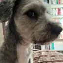 side_eye