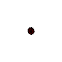 20230129_061617
