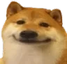 Delightfuldog