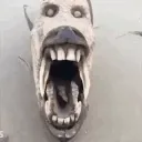 skullfish